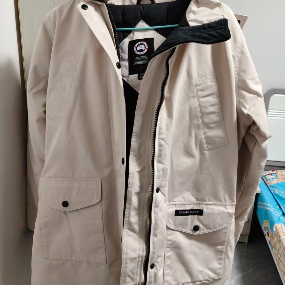 Canada goose